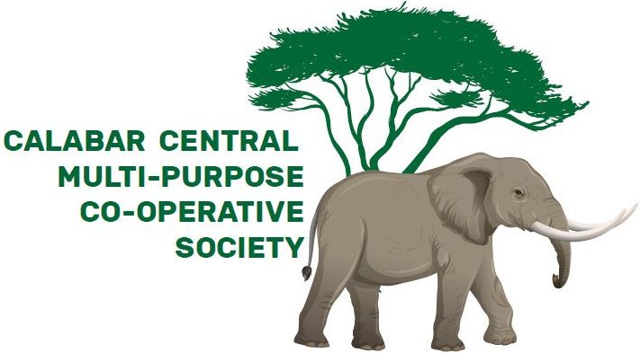 CCMPCS LTD